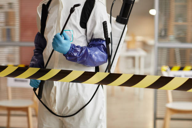 Professional Hoarding Cleanup technician working in Weehawken, NJ